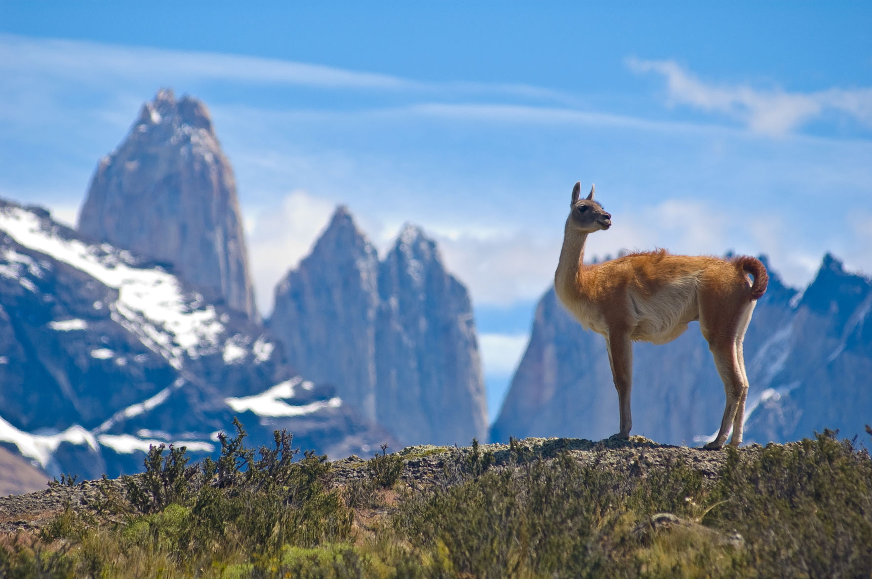 Patagonia, Chile